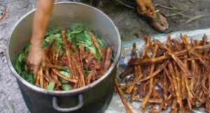ayahuasca diet