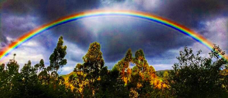 Eco-Friendly Community