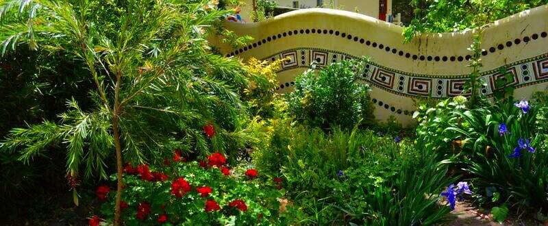 Best Ayahuasca Retreat in World