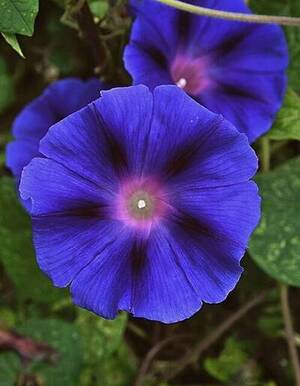 San Pedro Retreat Daily Schedule