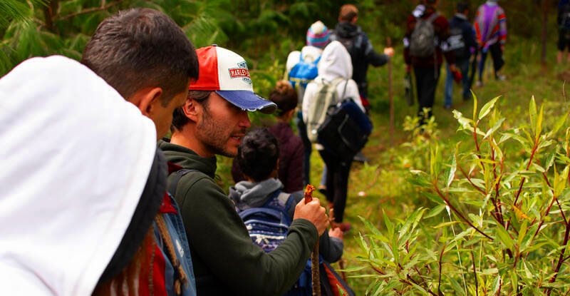Gaia Sagrada Ayahuasca Retreat Center