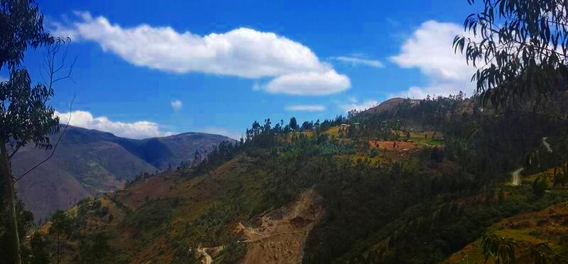 Gaia Sagrada Ayahuasca Retreat Center