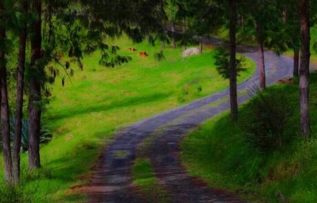 winding road gaia sagrada b