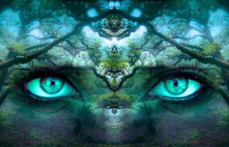 ayahuasca retreat review